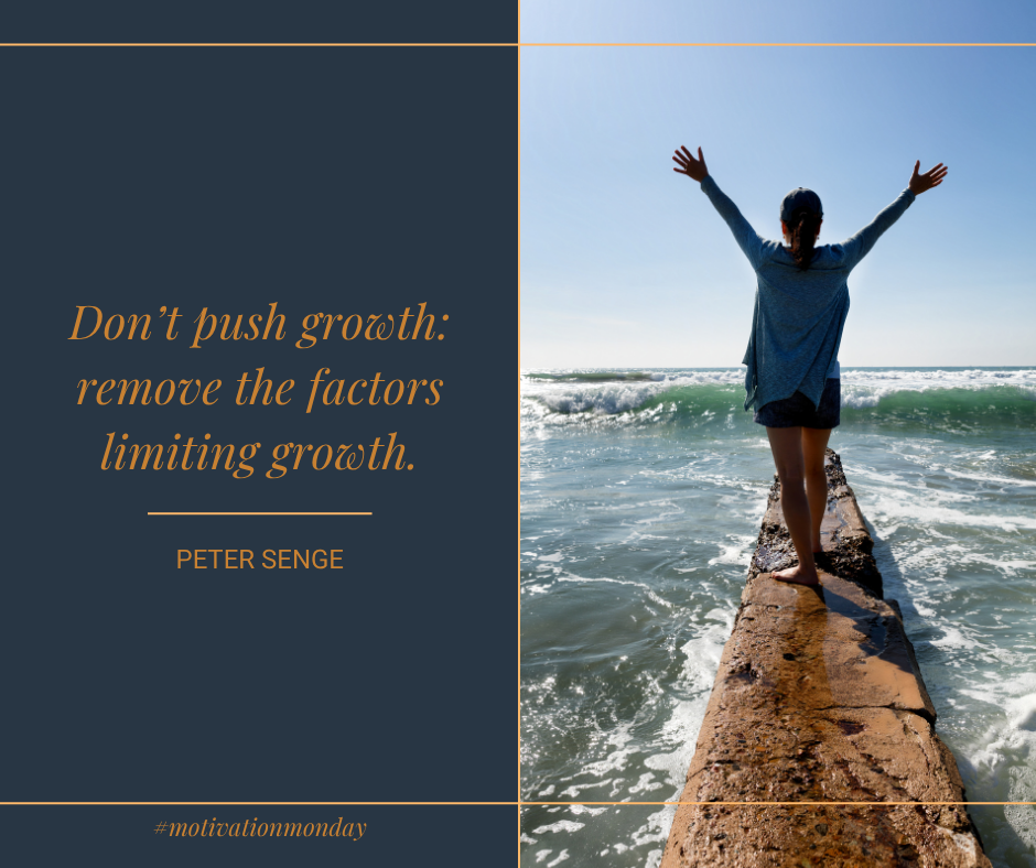 Motivation Monday - 8.25.25
